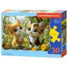 Aranyos kiscicák - 30 Contour Puzzle (B-03884-1)