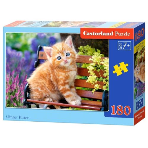 Ginger cica - 180 darabos Puzzle (B-018178)