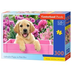   Labrador kiskutya rózsaszín dobozban - 300 darabos Puzzle (B-030071)