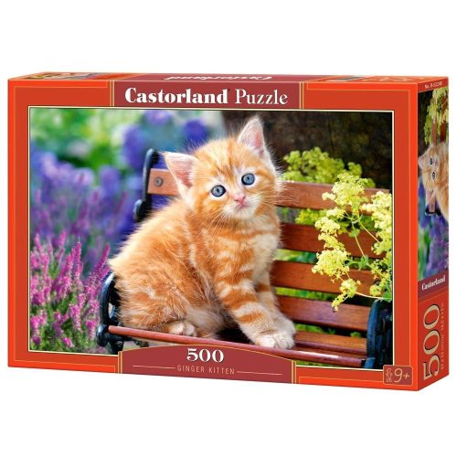 Ginger cica - 500 darabos Puzzle (B-52240)