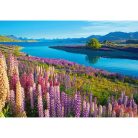 Lake Tekapo, Új-Zéland - 500 darabos Puzzle (B-53896)