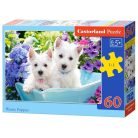 Westie kiskutyák - 60 darabos Puzzle (B-066100)