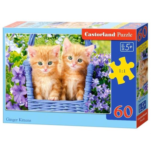 Ginger cicák - 60 darabos Puzzle (B-066247)