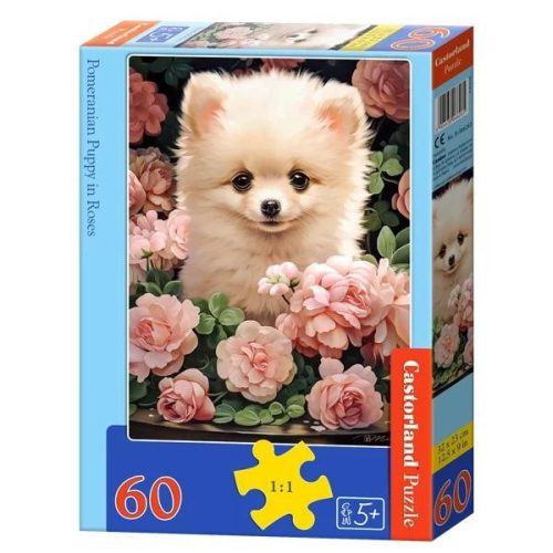 Pomerániai kiskutya rózsában - 60 darabos Puzzle (B-066261)