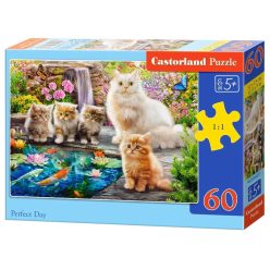 Tökéletes nap - 60 darabos Puzzle (B-066377)