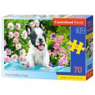 Francia bulldog kiskutya - 70 darabos Puzzle (B-070152)