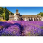 Levendulamező Provence-ban, Franciaországban - 1000 darabos Puzzle (C-104284-2)