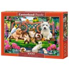 Háziállatok a parkban - 1000 darabos Puzzle (C-104406-2)