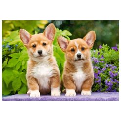 Welsh Corgi - 1000 darabos Puzzle (C-104659-2)