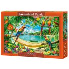 Exotikus papagájok - 1000 darabos Puzzle (C-105403-2)