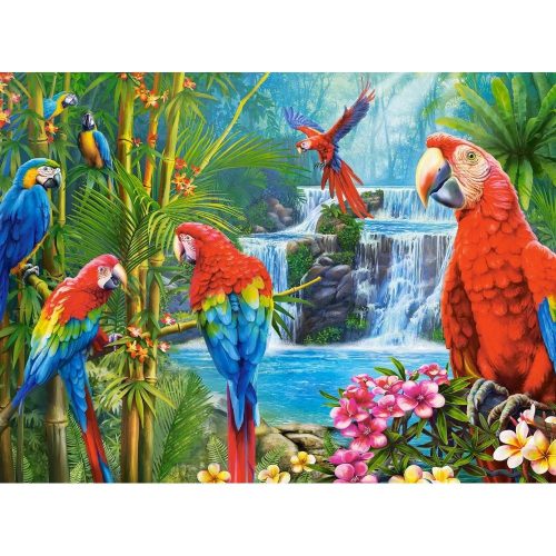 Papagáj találkozó - 2000 darabos Puzzle (C-200870-2)