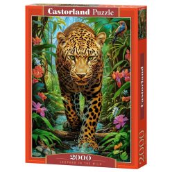 Leopárd a vadonban - 2000 darabos Puzzle (C-200955-2)