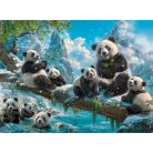 Panda móka  - 2000 darabos Puzzle (C-201013-2)