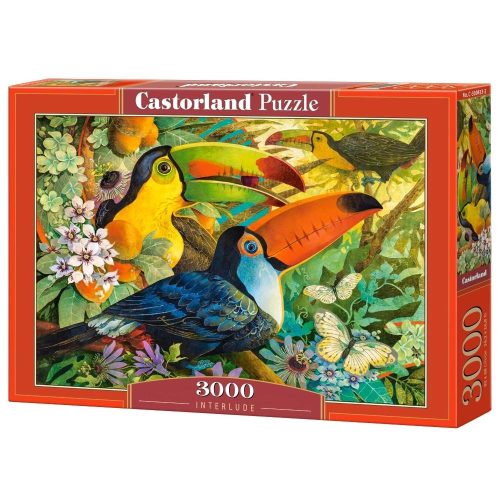 Közjáték - 3000 darabos Puzzle (C-300433-2)